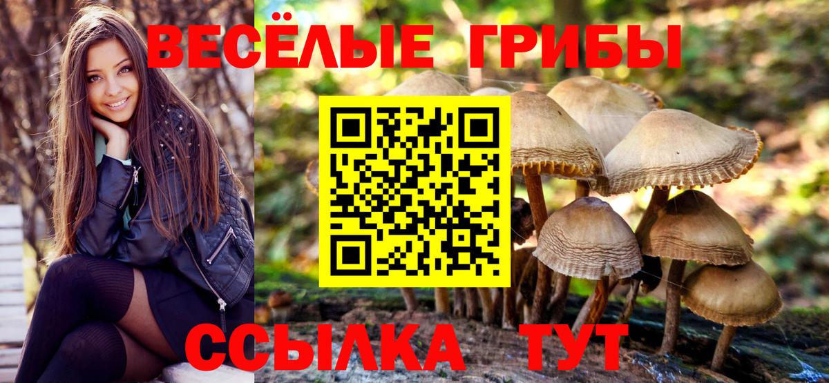 магазин    Вход с VPN  Черногорск  Галлюциногенные грибы GOLDEN TEACHER 